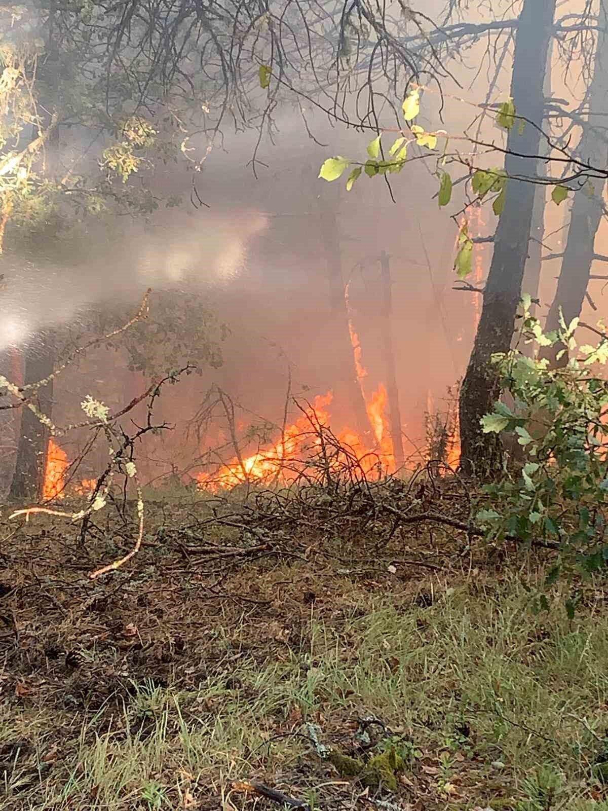 Karabük’te orman yangını