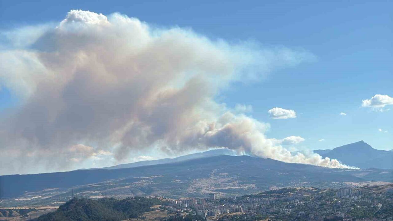 Karabük’te yangınlar art arda çıkıyor