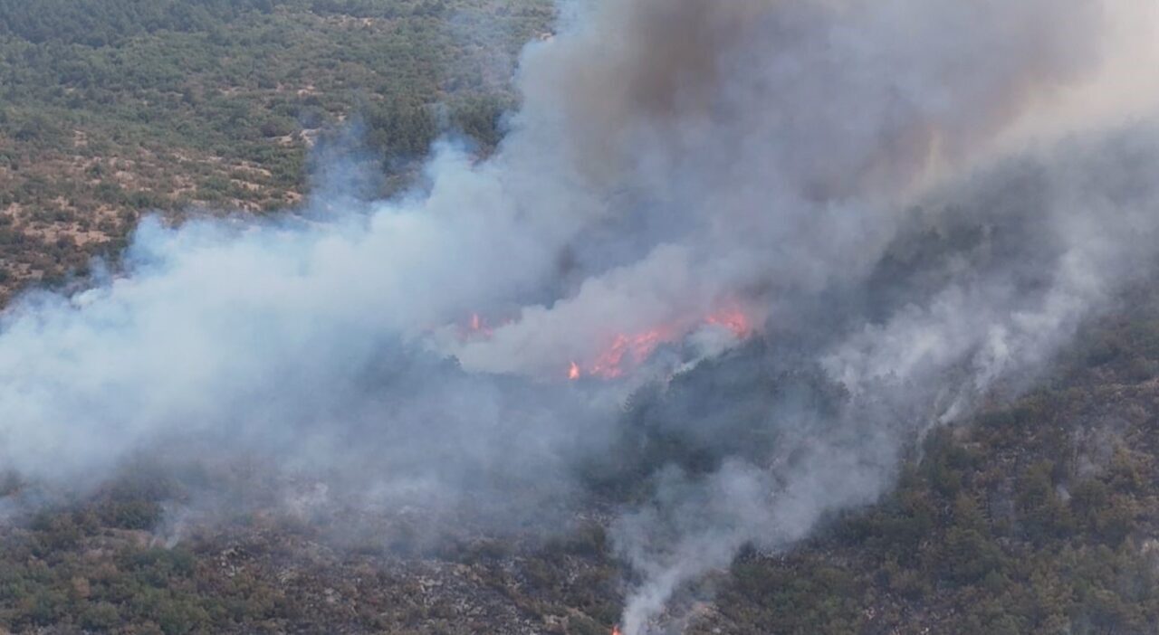 Karabük’teki yangınla ilgili 5 kişi gözaltına alındı