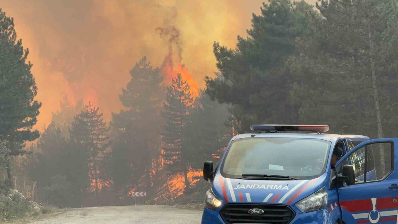 Karabük’teki yeni yangın rüzgarın etkisiyle hızla ilerliyor