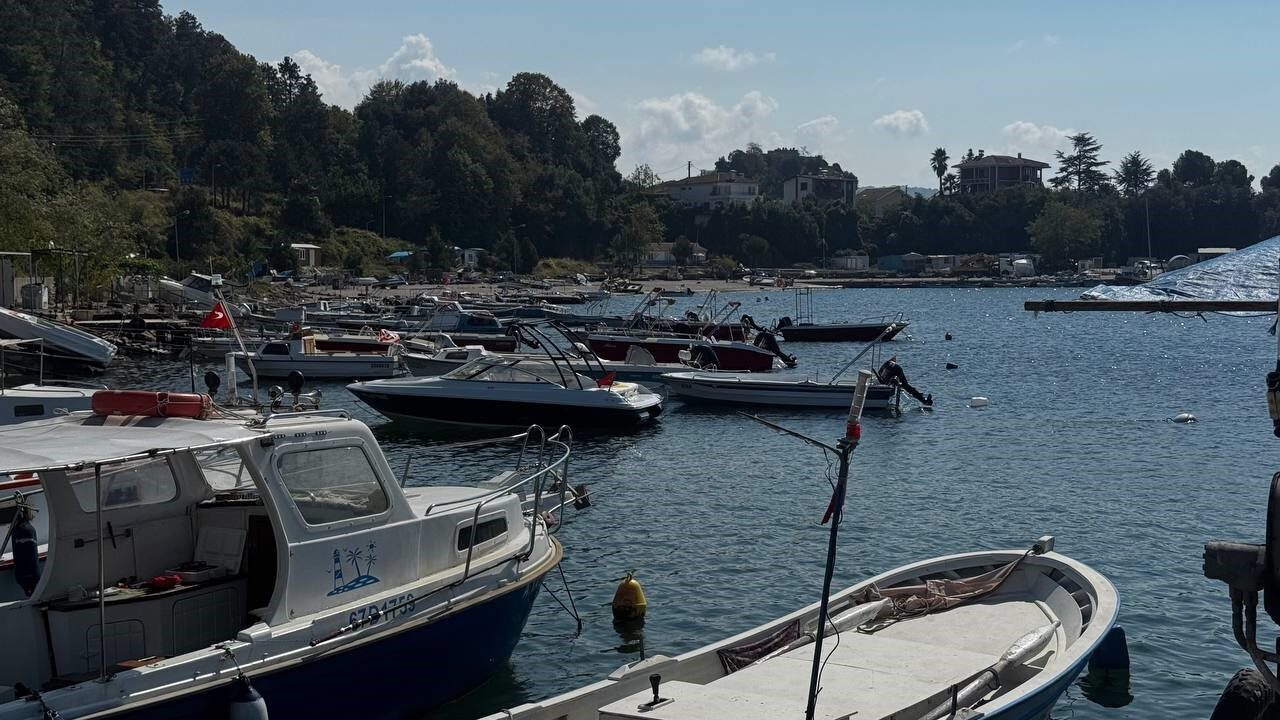 Karadeniz’de bu yıl hamsi beklentisi büyük