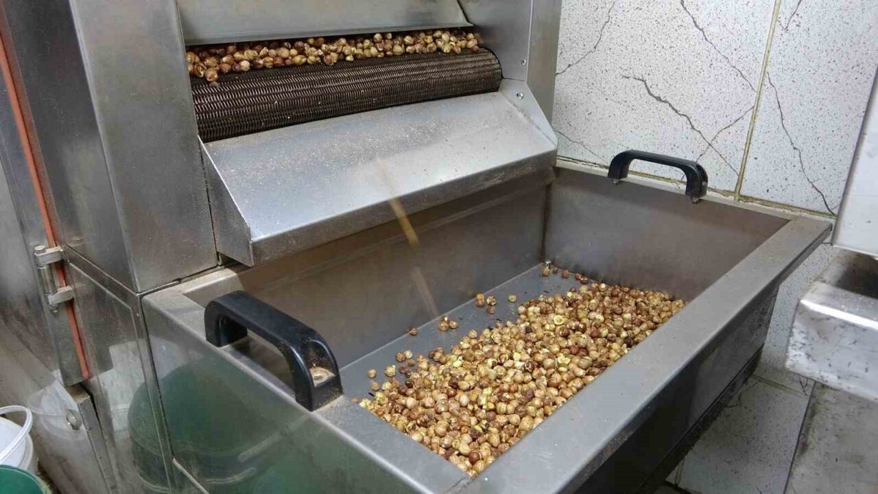 Karadeniz’de fındık hasadı tamamlandı: Üretici kırma ve kavurma işini artık işletmelere bırakıyor