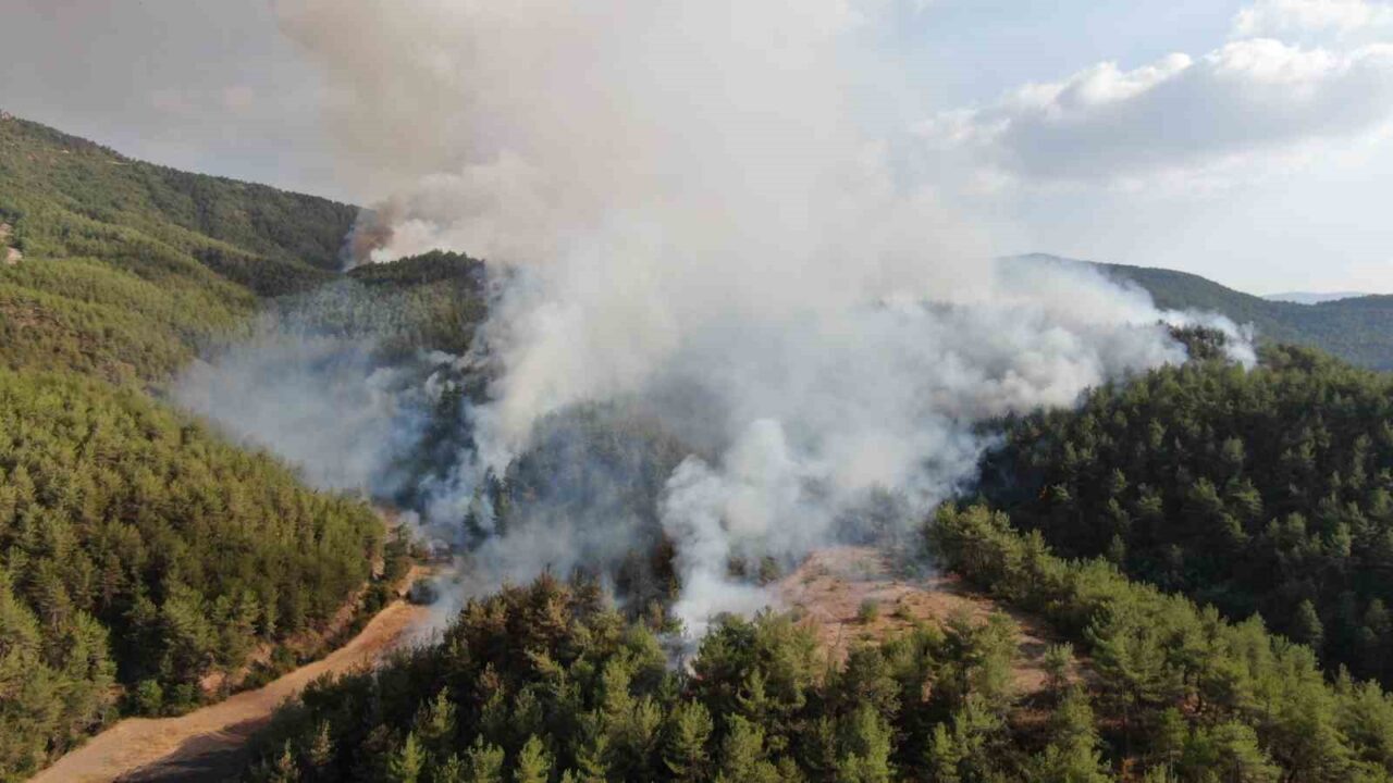 Kastamonu-Karabük sınırında ikinci orman yangını: Havadan ve karadan müdahale ediliyor