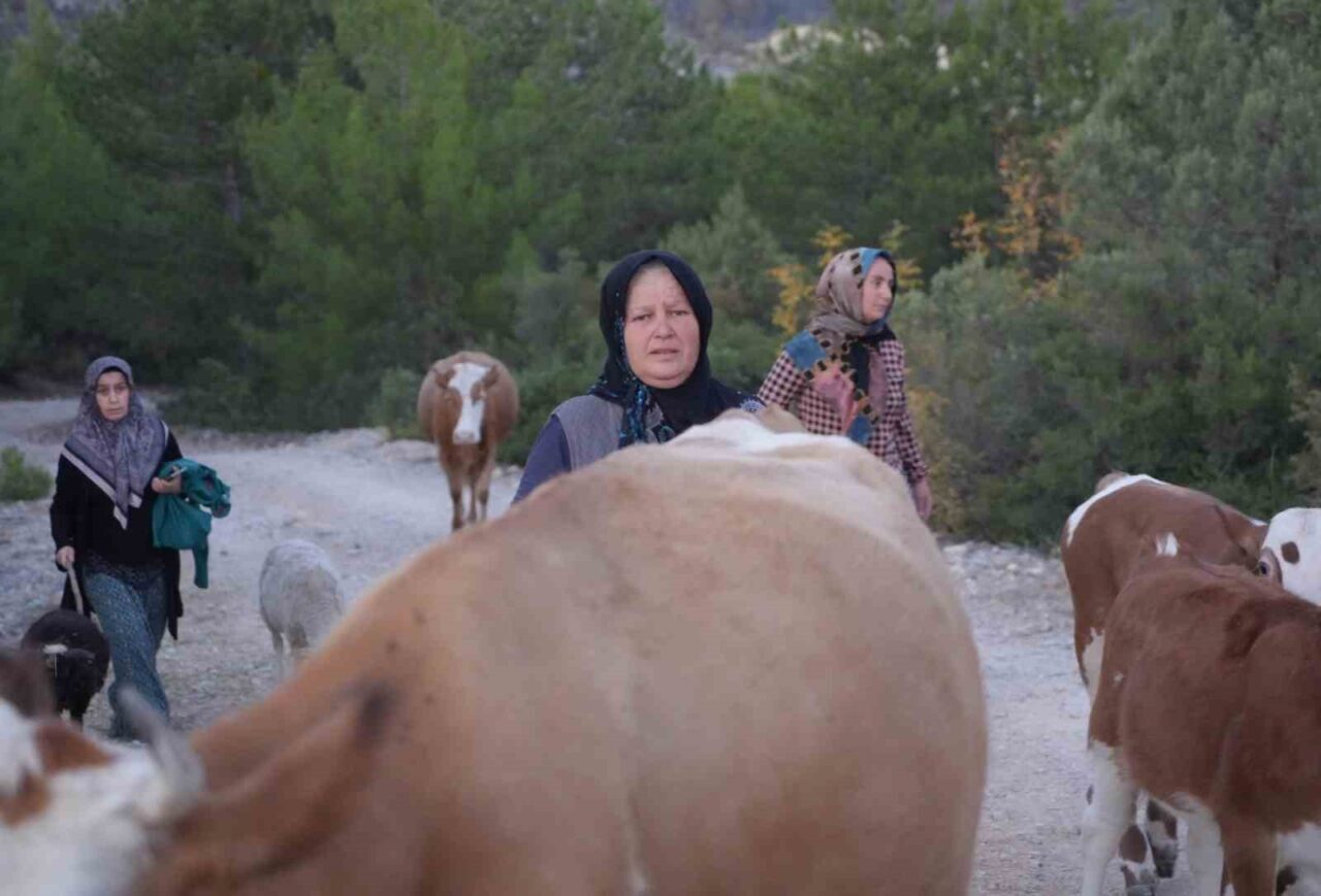 Kastamonu’da orman yangını kontrol altına alındı, vatandaşlar köylerine kavuştu
