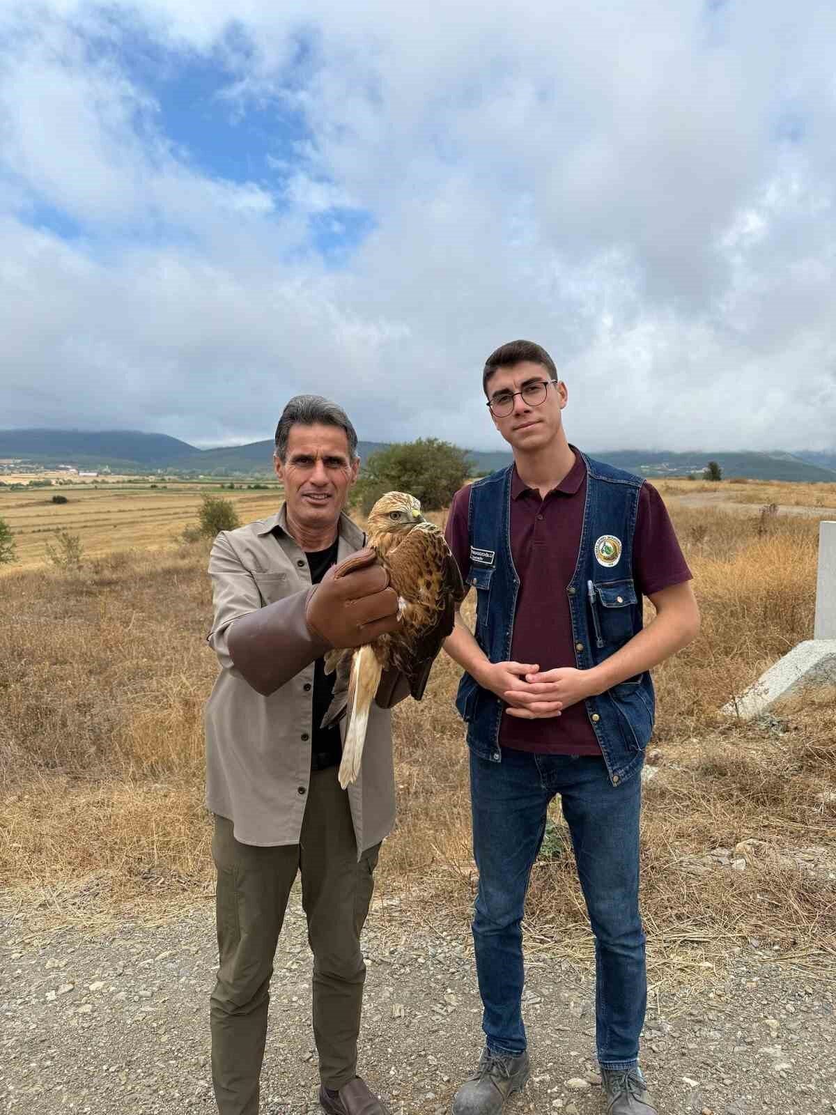 Kastamonu’da yaralı halde bulunan şahin tedavi altına alındı