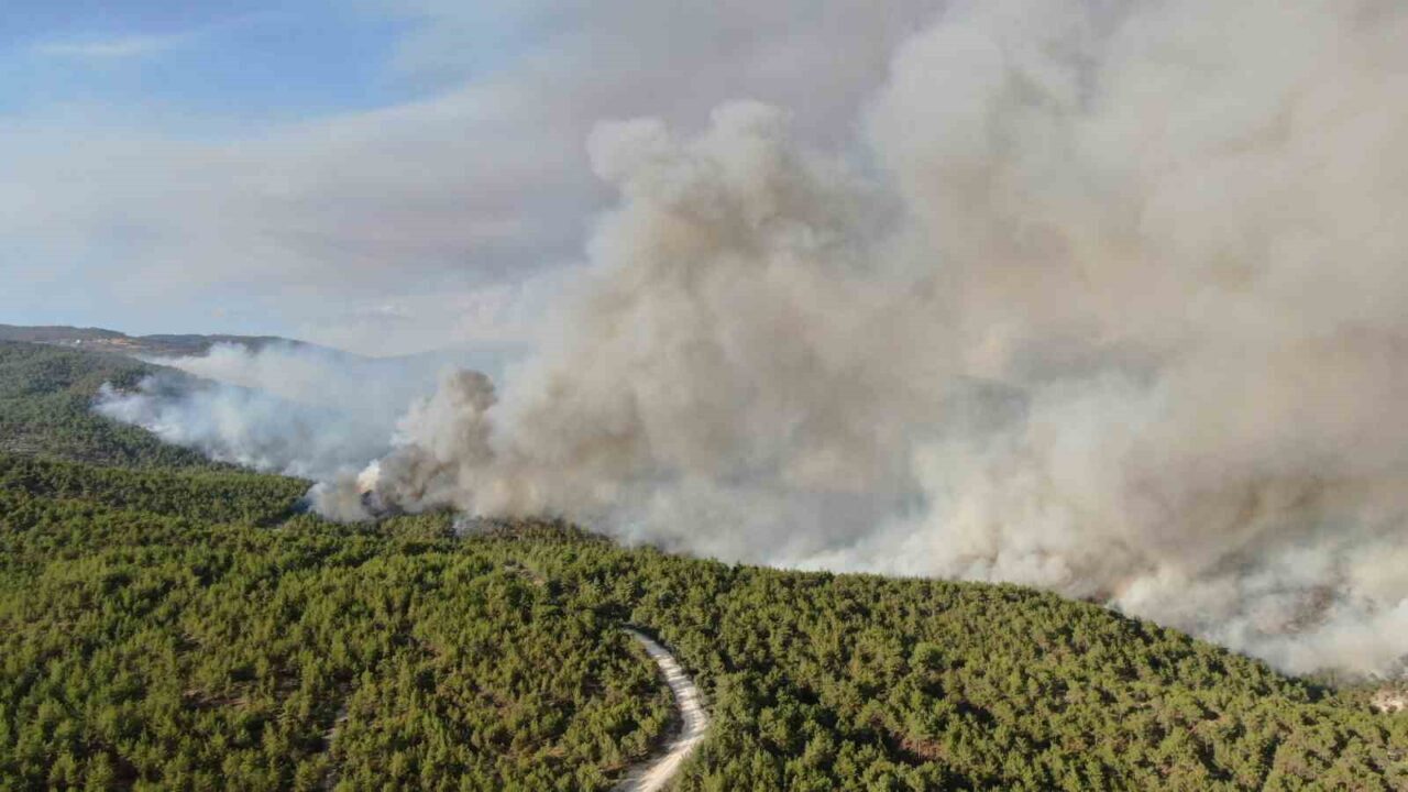 Kastamonu’daki orman yangını sürüyor: Kuvvetli rüzgar yangının enerjisini arttırdı