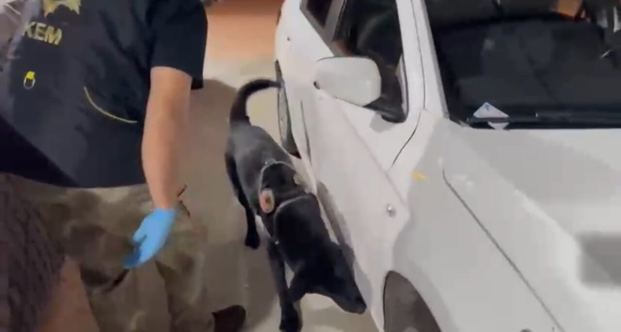 Kiralık araçla uyuşturucu sevkiyatı yapan baba-oğul yakalandı