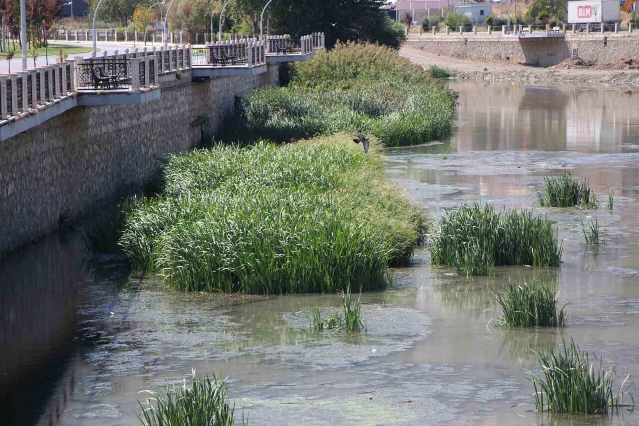 Kuraklık Yeşilırmak’ı vurdu: ‘Yağdır Mevlâm su’