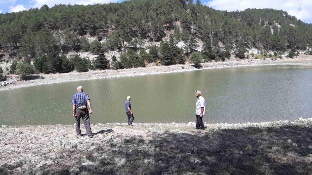 Orman yangınında kritik rol oynayan gölet, can çekişiyor