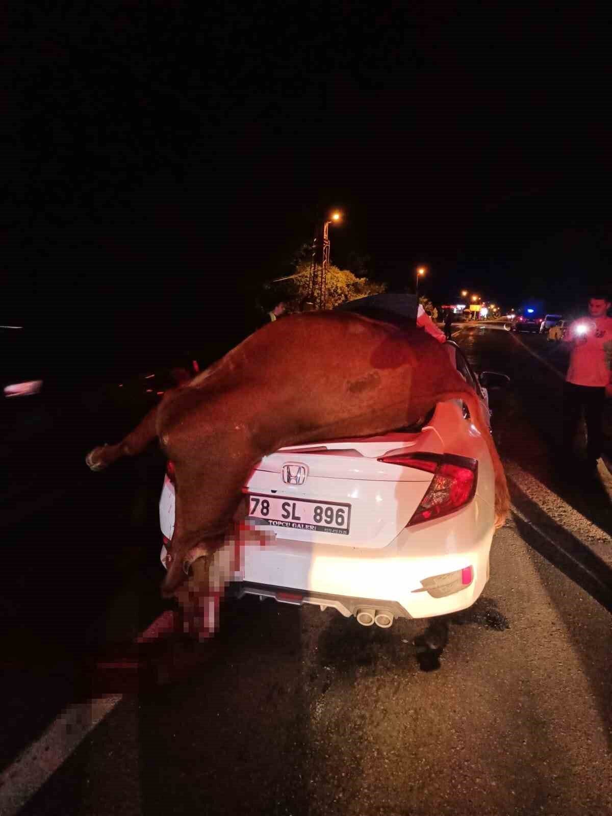 Otomobilin çarptığı inek telef oldu