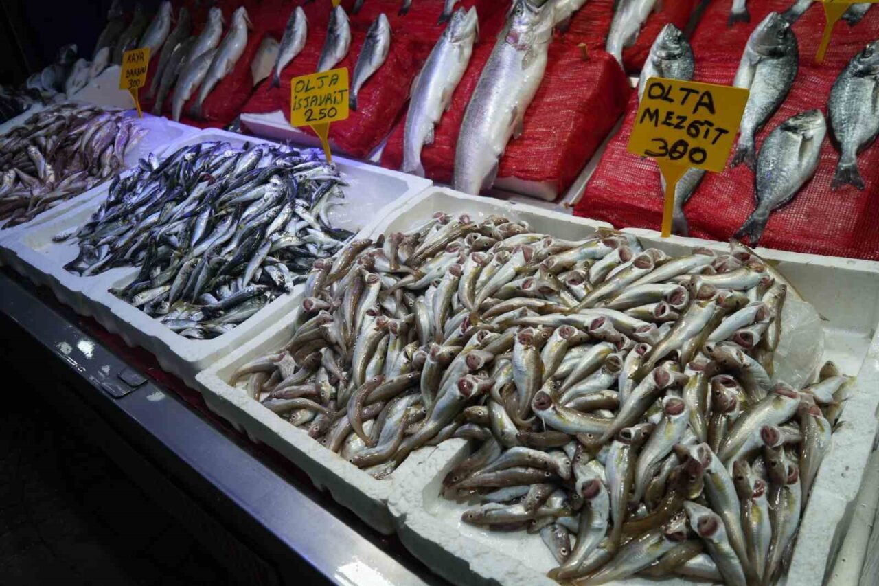 Sezonun ilk balıkları tezgahlarda