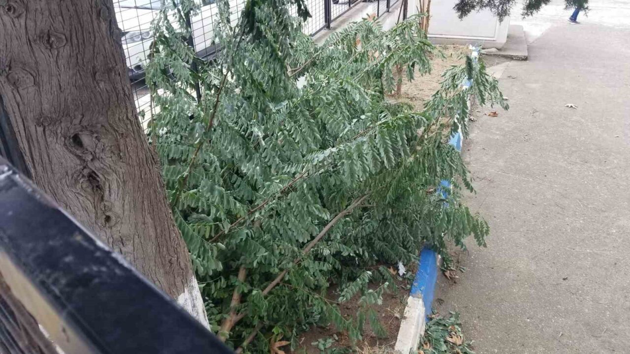 Sinop’ta fırtına