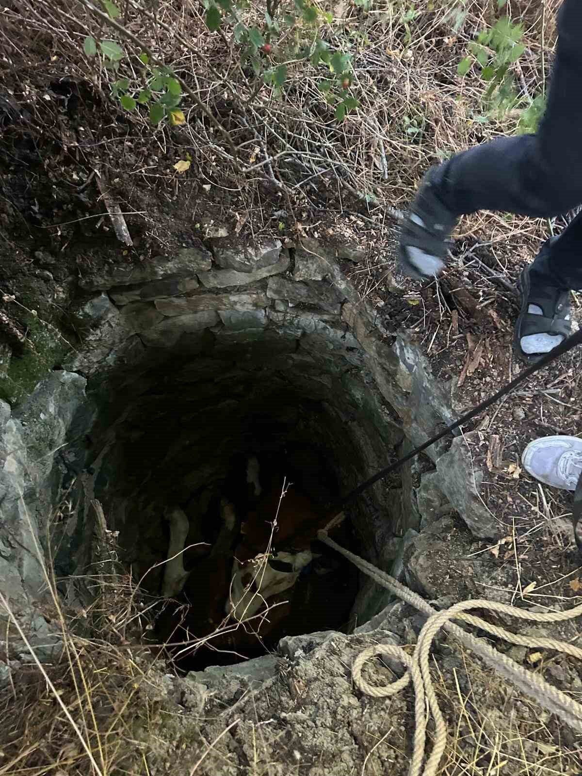 Su kuyusuna düşen inek için seferber oldular