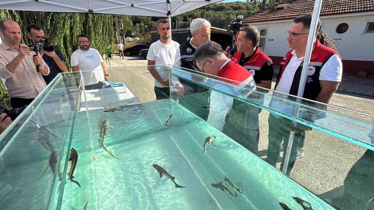 Türkiye’den dünya sofralarına siyah havyar: "Gramı 1 eurodan satılıyor"