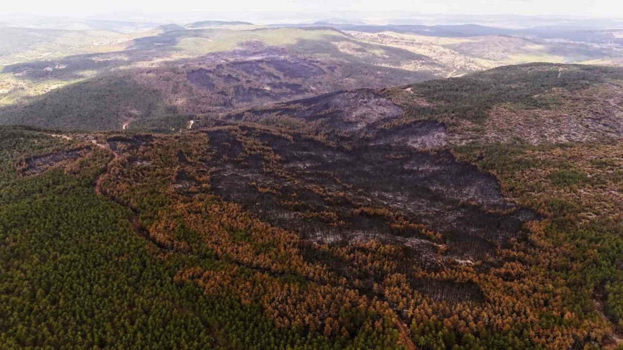 Yangının etkili olduğu alanlar dron ile görüntülendi