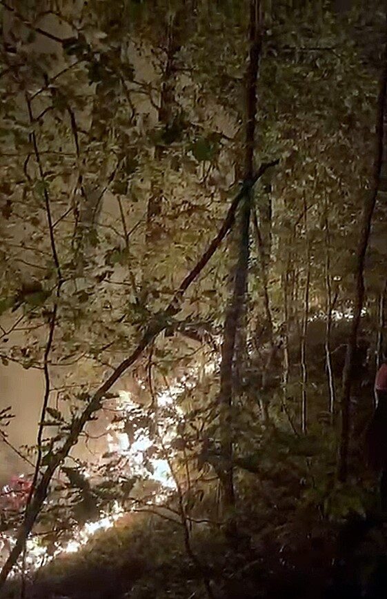 Yığılca’daki orman yangını söndürüldü