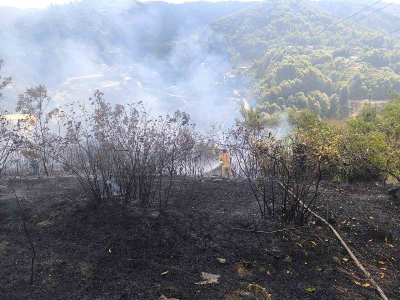 Zonguldak’ta 2 dekarlık alanda örtü yangını