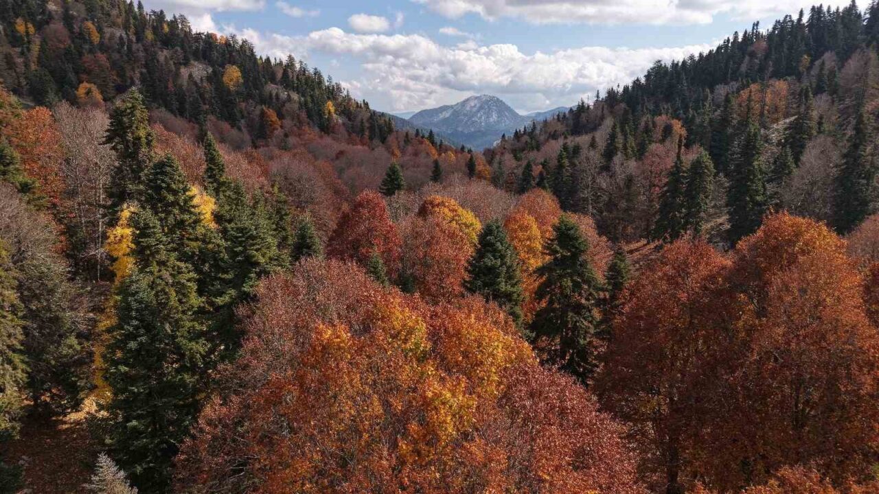 Adana’da sonbahar güzelliği: Adeta doğa sanata dönüştü