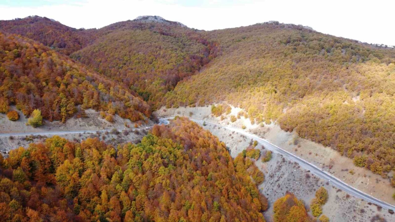 Adeta doğada bir tablo, Şebek Geçidi’nde sonbahar güzelli mest ediyor