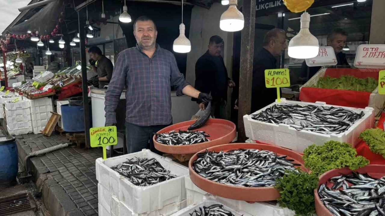 Alaplı’da hamsi 100 liradan alıcı buldu
