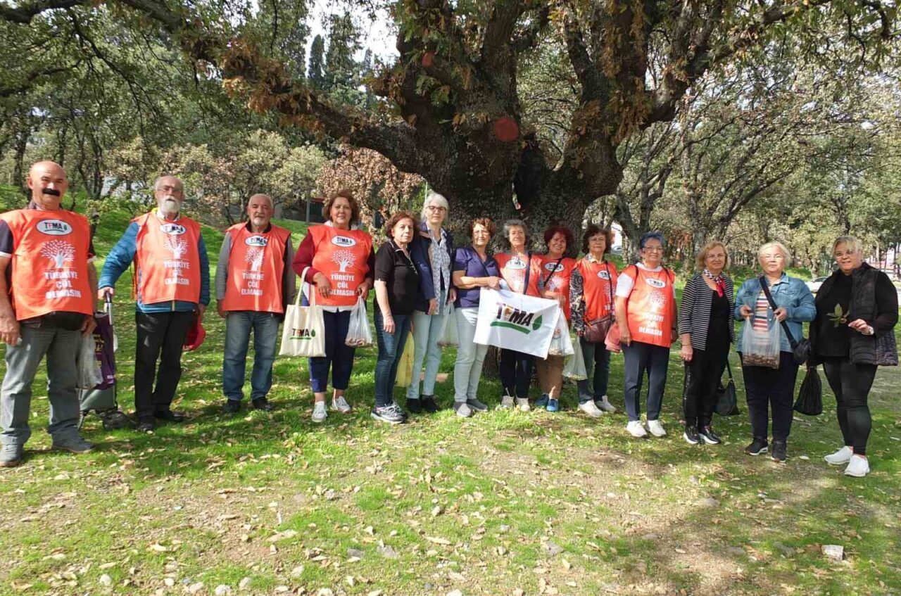 Balıkesir’de meşe palamutları öğrencilerin elinde fidana dönüşecek