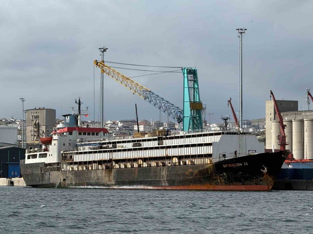 Bandırma Limanı’nda "Spiridon-II" krizi: İthal hayvanlar günlerdir limanda mahsur