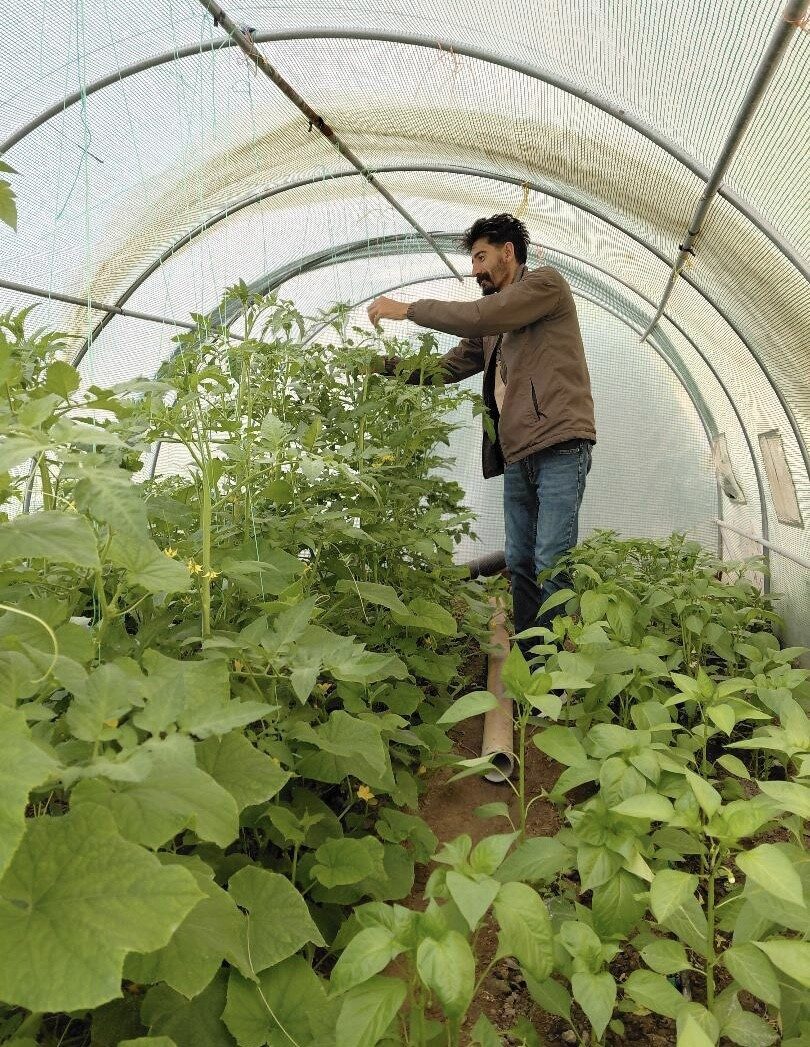 Berberlikten arta kalan zamanını doğaya ayırıyor