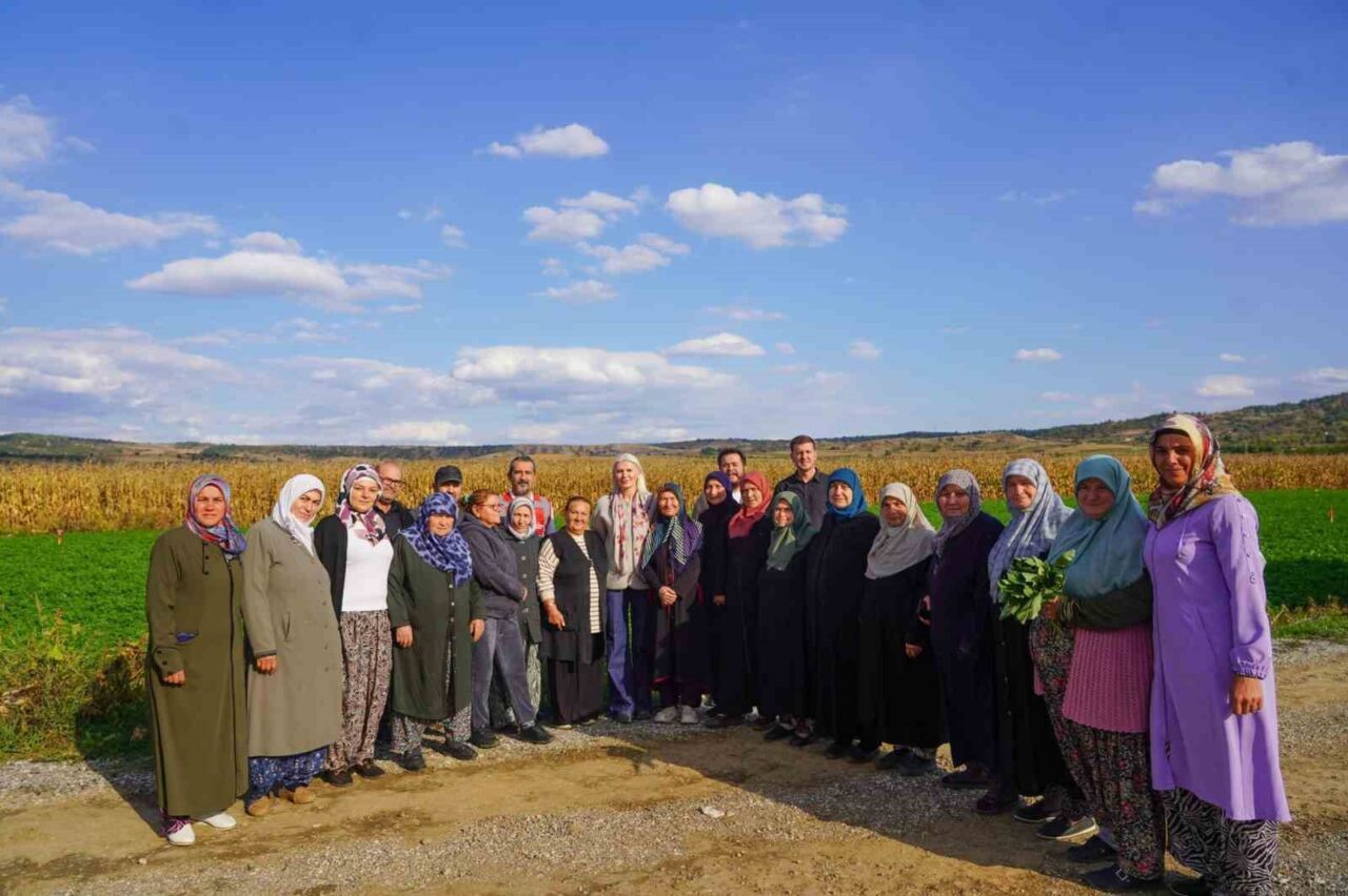 Bilecik’te dağıtılan sebze fidelerinin hasadını yapıldı