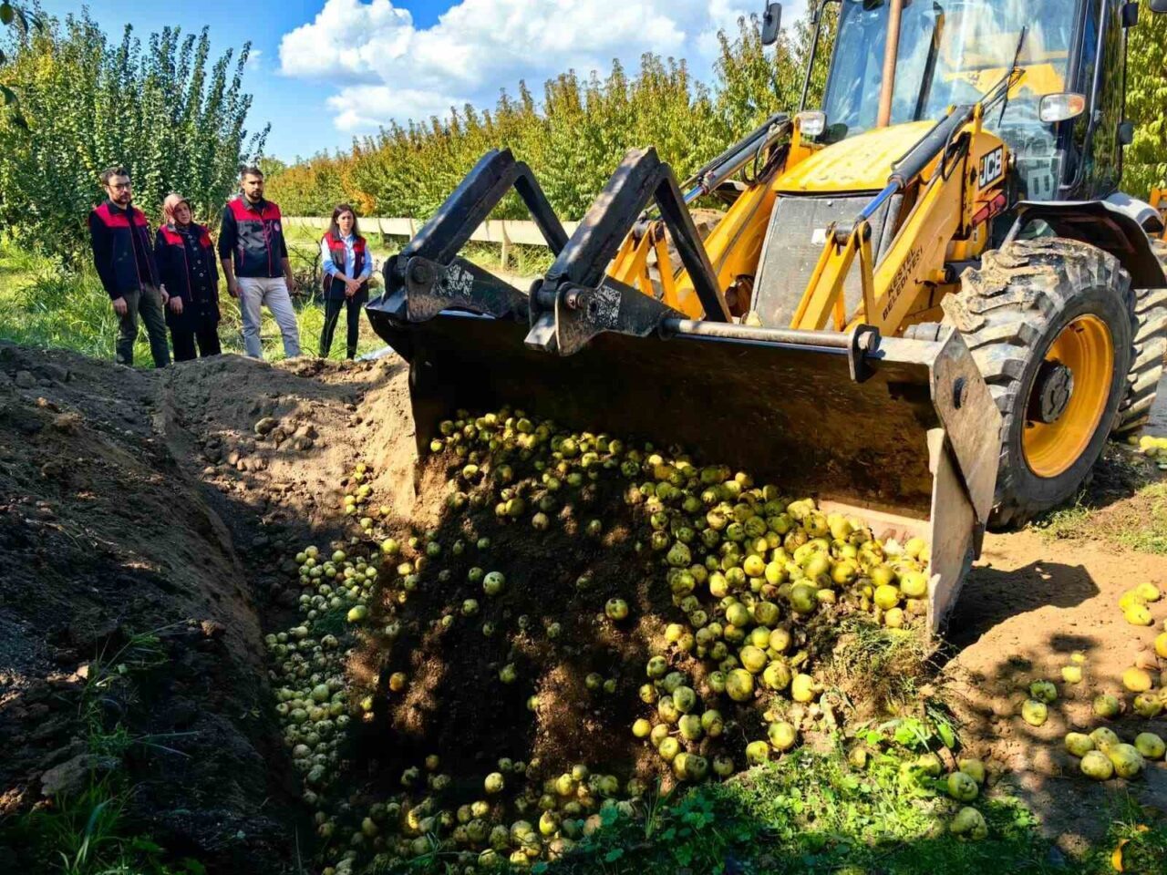 Bursa’da pestisite geçit yok