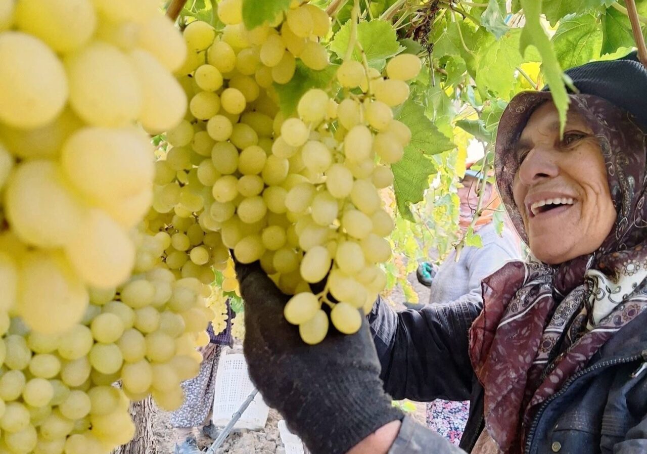 Ekim ayı bitiyor, üzüm bitmiyor