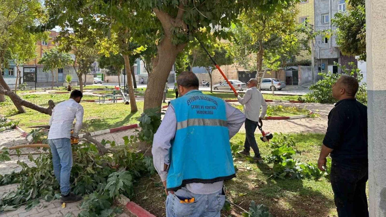 Eyyübiye’deki parklarda bakım ve yenileme çalışması