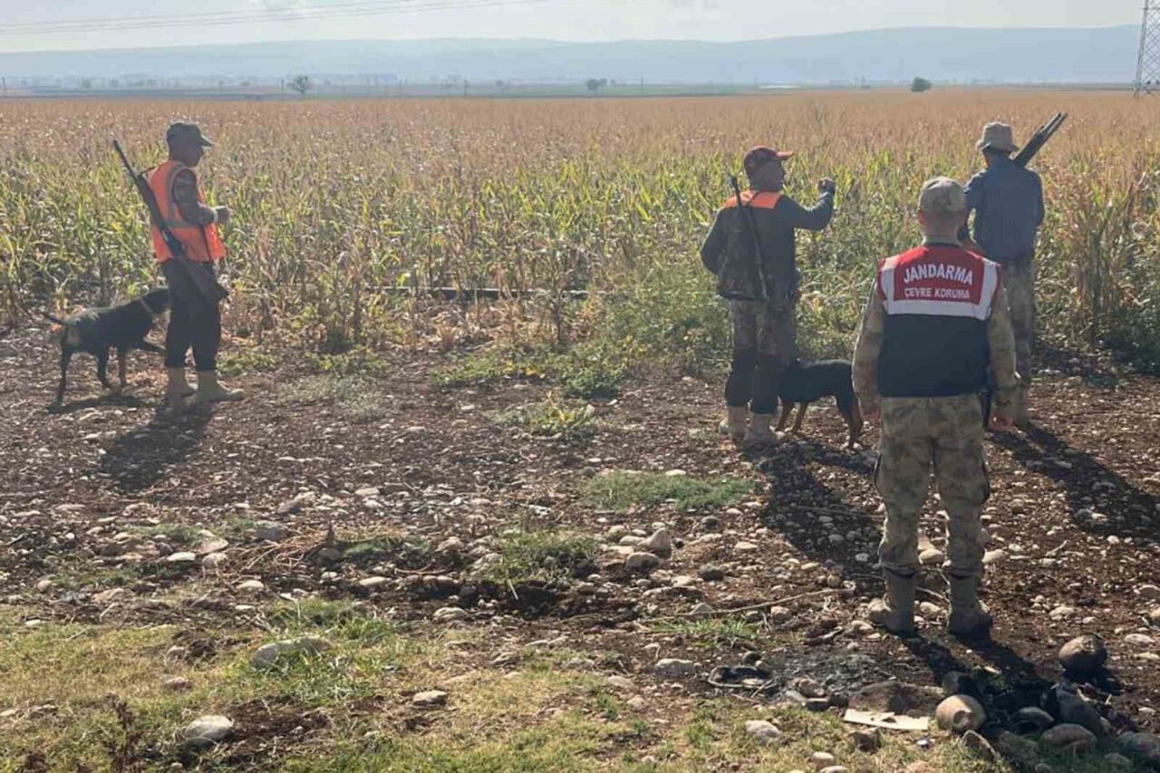 Gaziantep’te tarım arazilerine zarar veren yaban domuzları için sürek avı yapıldı