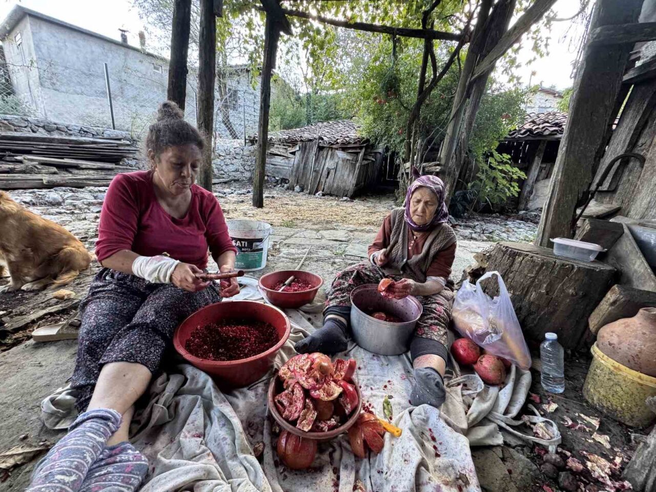 Geleneksel yöntemlerle katkısız üretip kilosunu 600 liradan satıyorlar