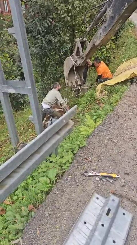 İneği vinçle düştüğü yamaçtan kurtardılar
