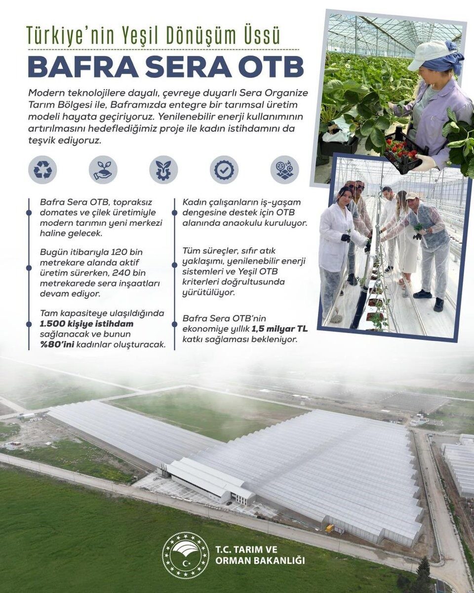 Kadın eliyle yeşeren tarım: Bafra Sera OTB, yıllık 1,5 milyar liralık katkı sunacak