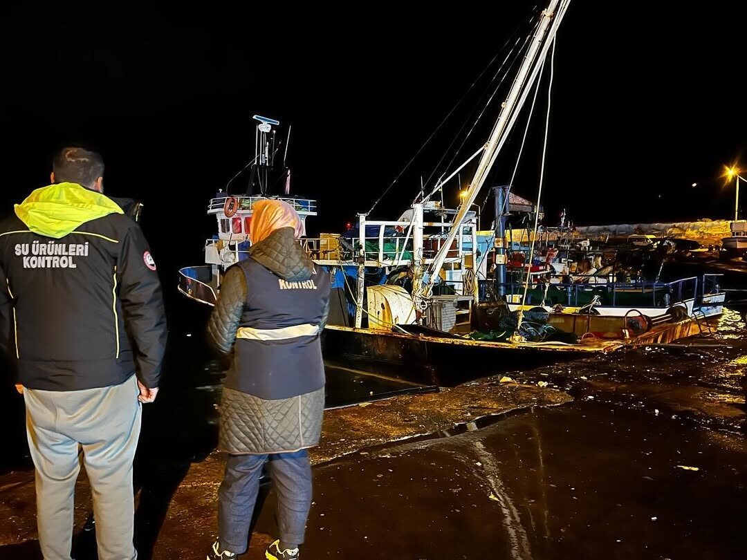 Karadeniz’de hamsi yoğunluğu devam ediyor