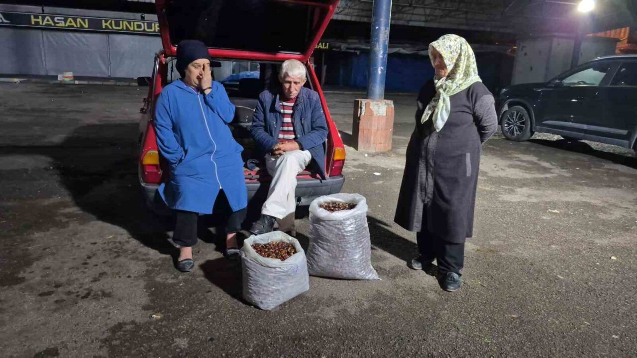 Kestane rekoltesi kuraklık sebebiyle düştü