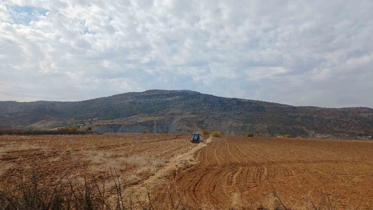 Kulp ilçesinde çiftçiler ekim mesaisine başladı