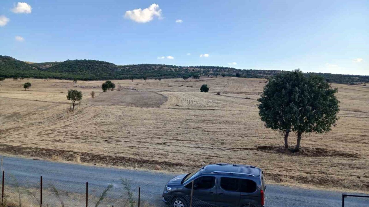 Kulp’ta sağanak başladı, çitçiler umutlandı