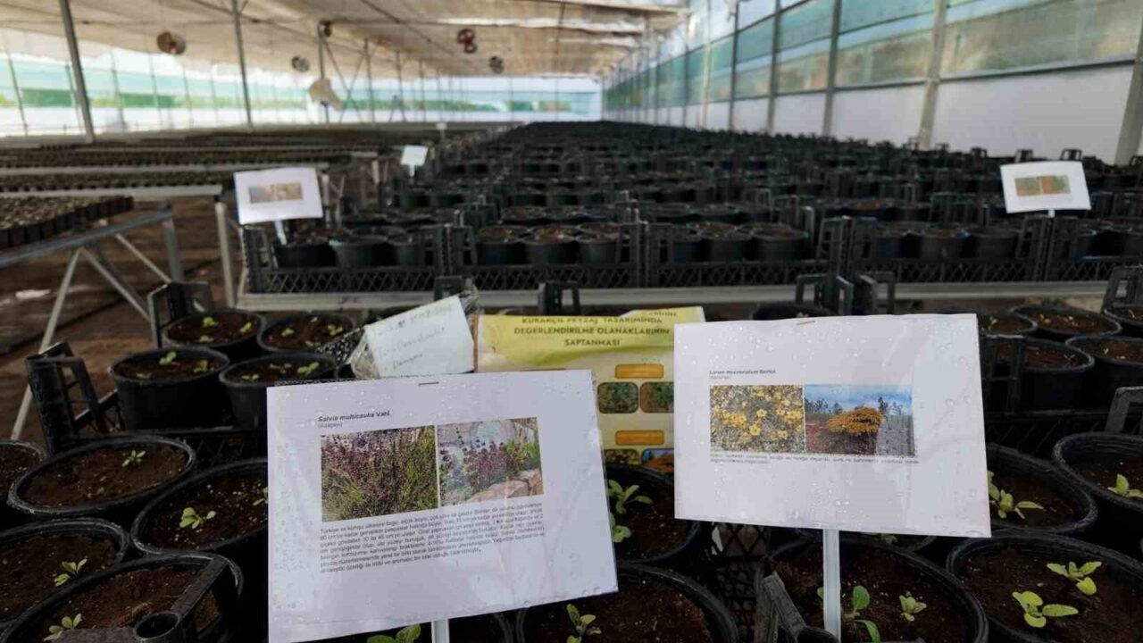 Kurakçıl Peyzaj Tasarımı Projesi’ne destek