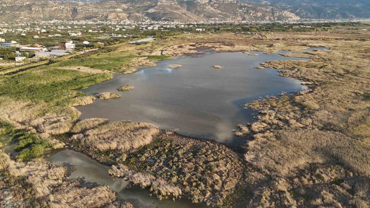 Kuraklığın etkisiyle çölü aratmaz hale gelen Milleyha’da yağışlarla birlikte kuşların sesleri yankılanmaya başladı