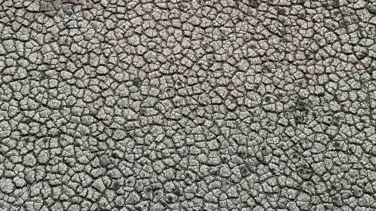 Kuraklığın izi: Seyhan Baraj Gölü’nde sular çekilince toprak çatladı