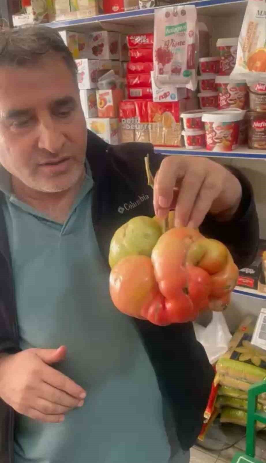 Mardin’de 1 kilo 400 gramlık domates hayrete düşürdü