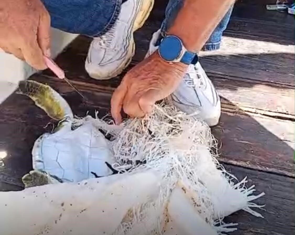 Marmaris Körfezi’nde çuvala dolanan deniz kaplumbağasını çevreciler kurtardı