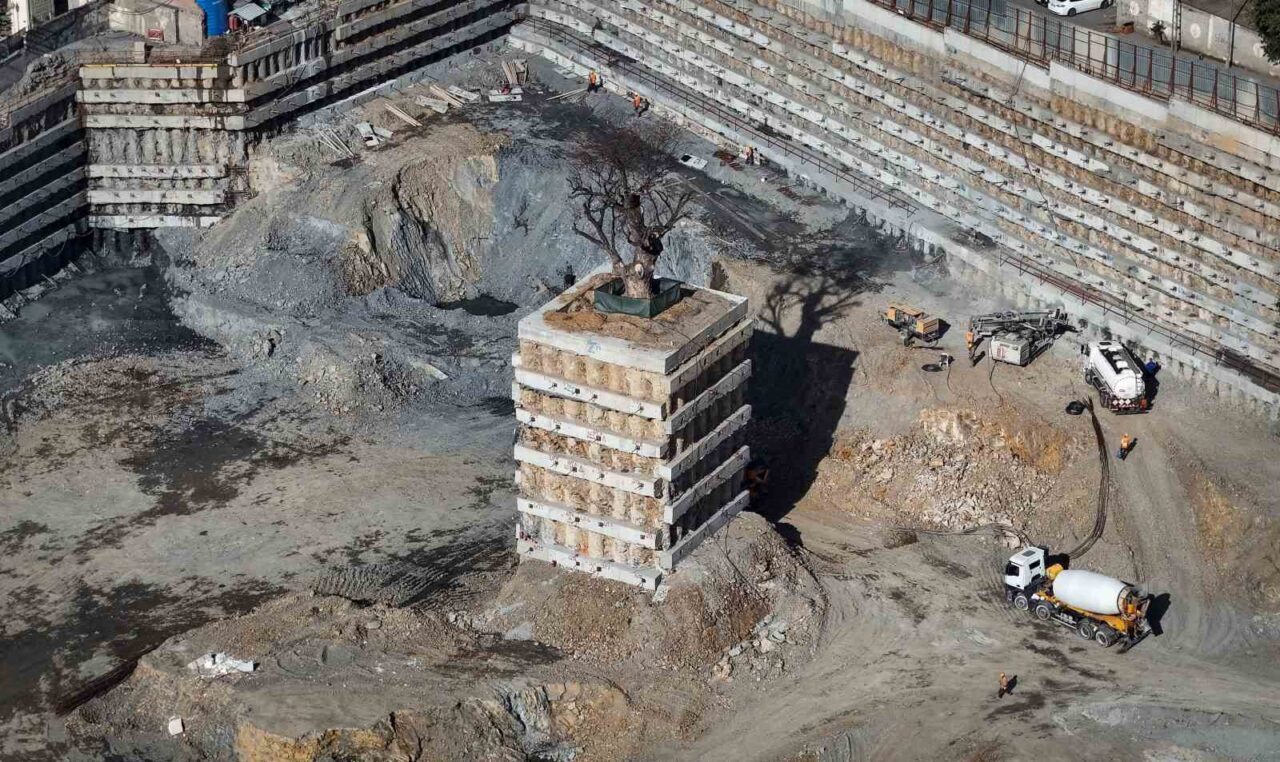 Milyarlık projede tarihi ağaca fore kazıklı koruma