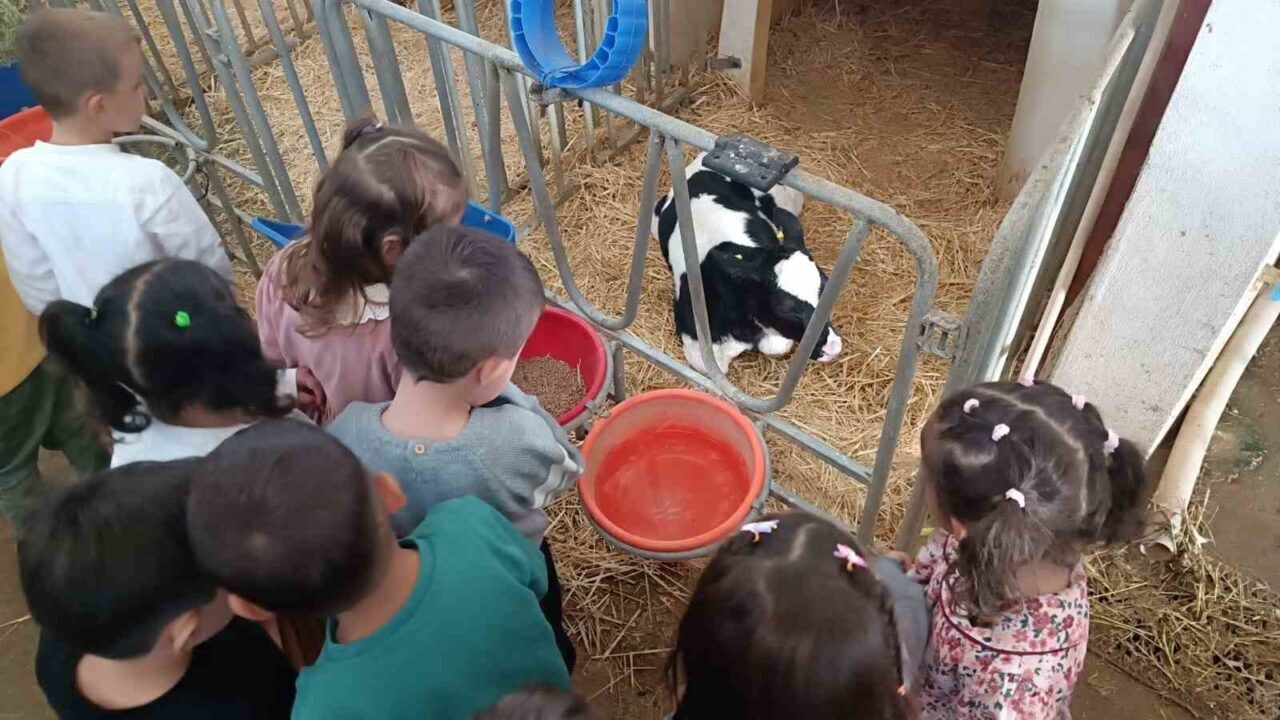 Minik öğrenciler tarımla buluştu