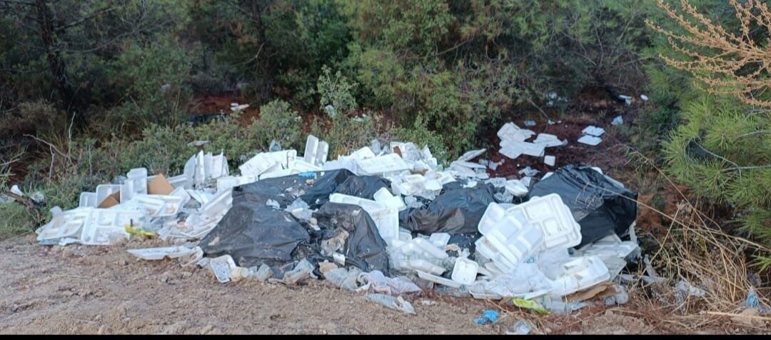 Ormanı çöplük yaptılar