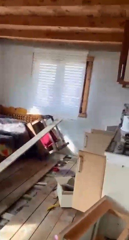 Rize yaylalarında ayı paniği: 20 ev talan edildi