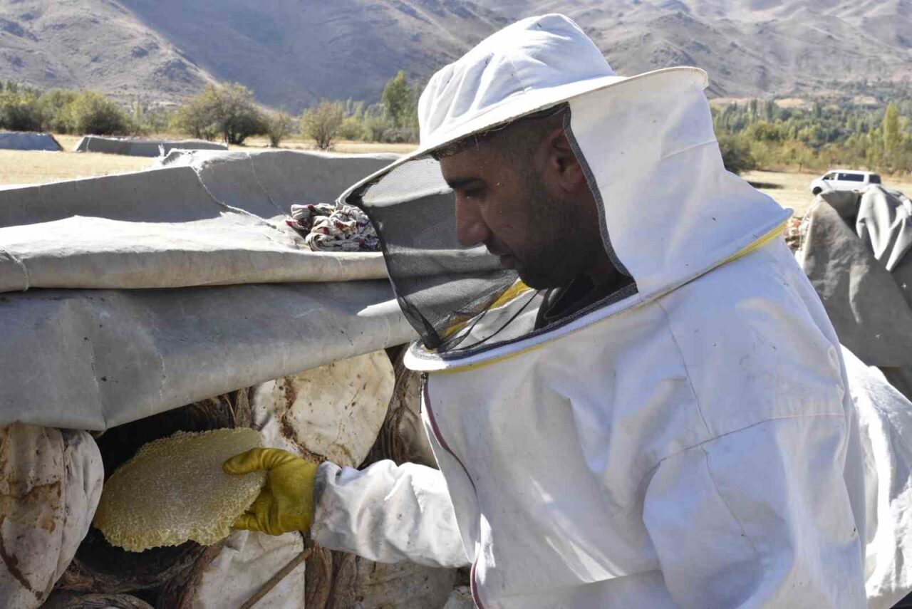 Uluslararası ödüllü Bitlis karakovan balında hasat zamanı