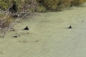 11 gün önce kaybolan engelli şahsın Göksu’da cansız bedeni bulundu
